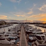 Marine Coat Profile Picture